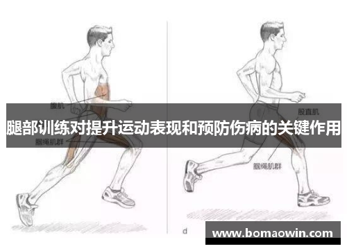 腿部训练对提升运动表现和预防伤病的关键作用